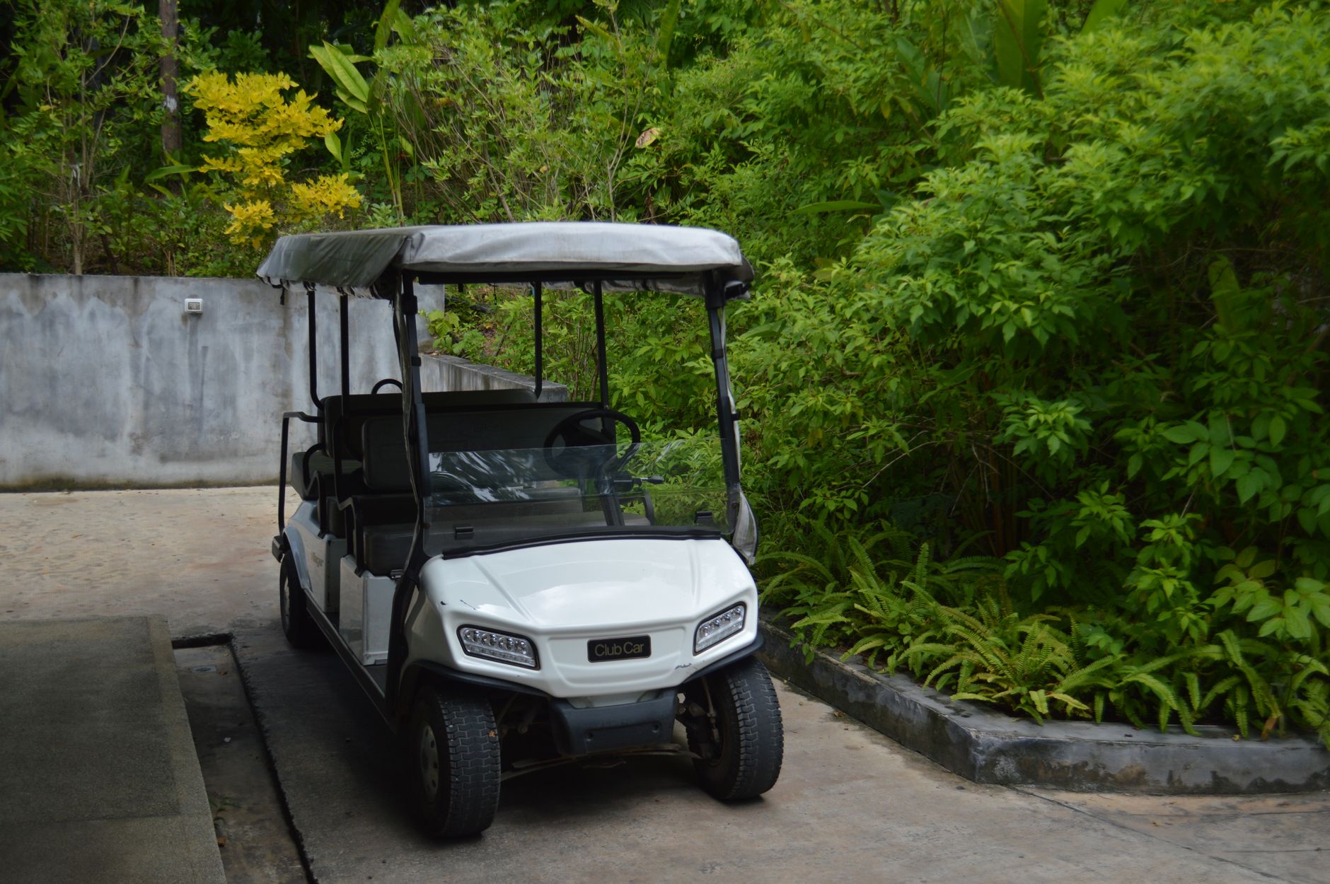 A white golf cart parked outdoors surrounded by lush green foliage, ideal for resort transport. — photograph by Valeria Drozdova on Pexels