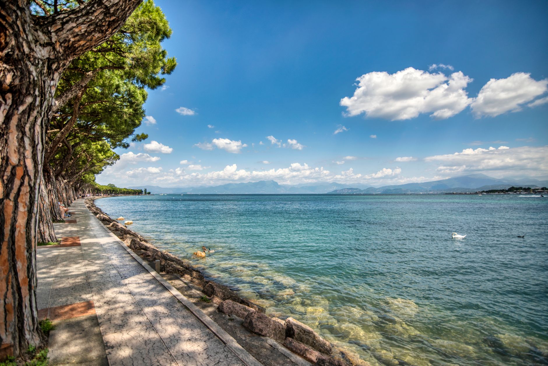 Picturesque lakeside walkway with vibrant trees and clear waters of Lake Garda on a sunny day. — photograph by Piotr Arnoldes on Pexels