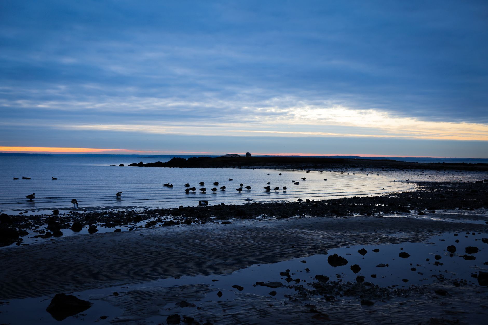 Peaceful coastal scene at twilight with birds and calm waters, capturing nature's tranquility. — photograph by David Kanigan on Pexels